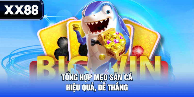 Tổng hợp mẹo săn cá hiệu quả, dễ thắng